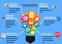 Best Digital Marketing Agency | DigitalBulbs image 7